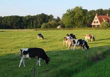 Ontdek de veelzijdige vakantie in Twente: natuur, cultuur en ontspanning!