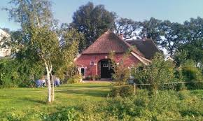 b&b twente met hond