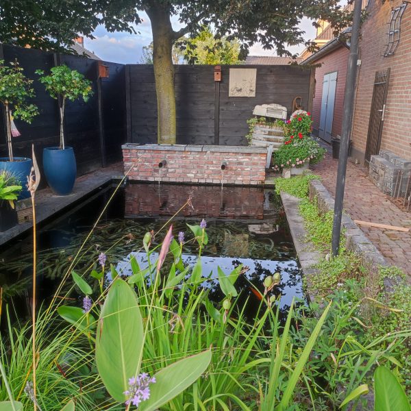 Ontdek de Betoverende Passie voor Tuinen in Enschede