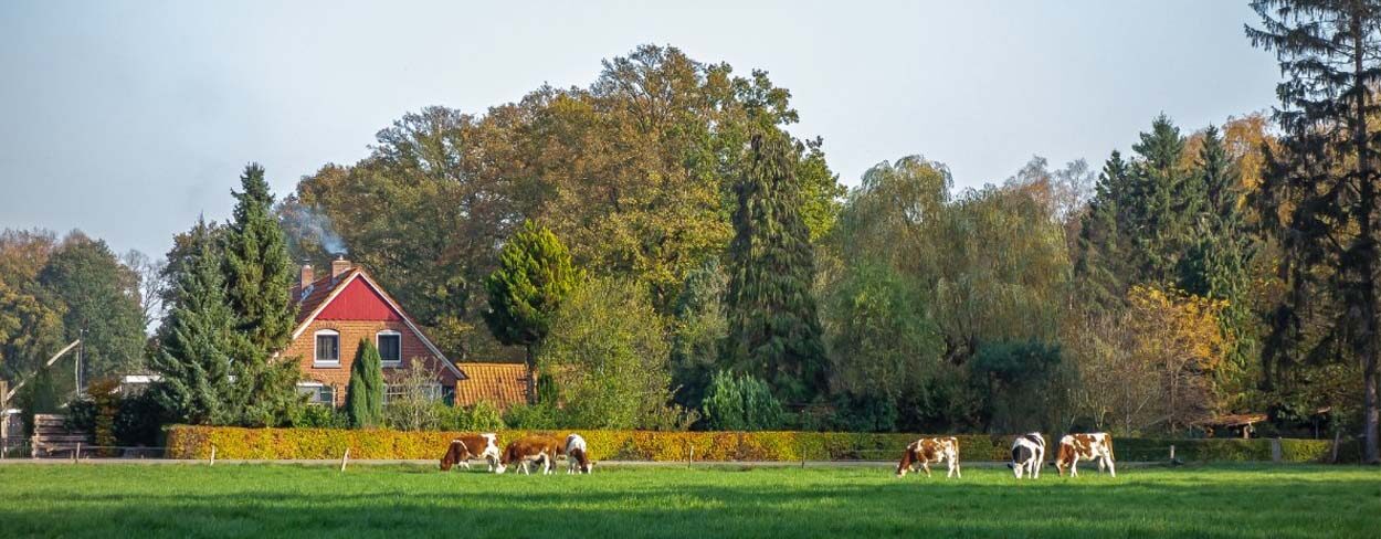 Ontdek de Luxe van een Bed and Breakfast in de Achterhoek