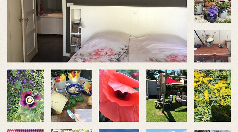 bed and breakfast en tripadvisor
